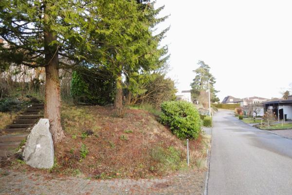 4.5-Zimmer Einfamilienhaus mit grossem Garten an erhöhter Lage in Hägendorf / SO - Bild# 11