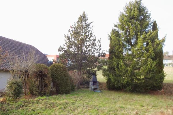 4.5-Zimmer Einfamilienhaus mit grossem Garten an erhöhter Lage in Hägendorf / SO - Bild# 10
