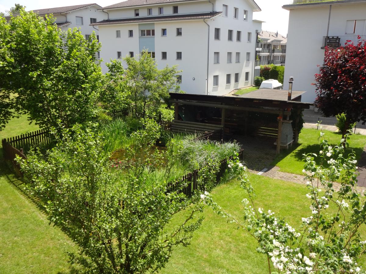 Sehr schöne neu renovierte 4.5-Zimmerwohnung an guter Lage in Altishofen / LU - Bild# 9