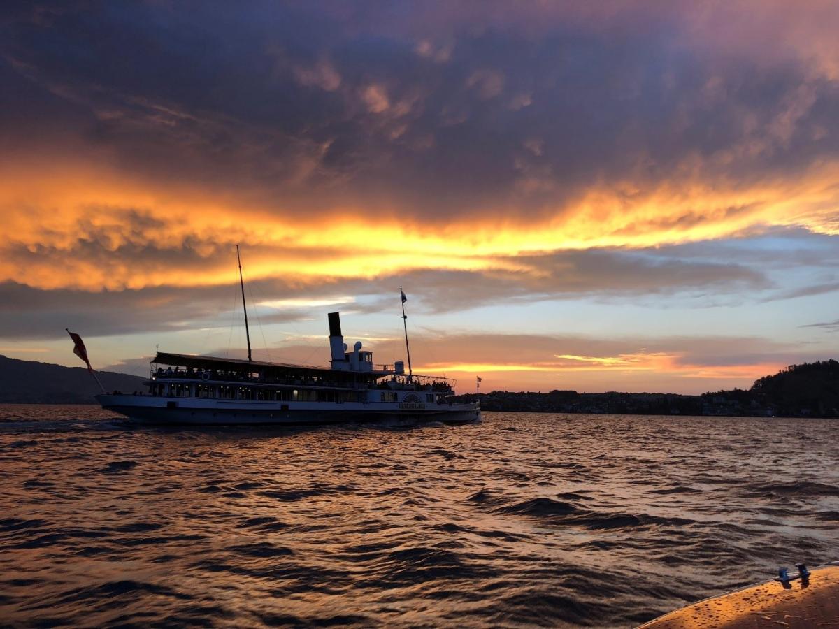Einzigartige, grosse Baulandparzelle mit Bauprojekt im Herzen der Schweiz mit Blick auf den Vierwaldstättersee - Bild# 4