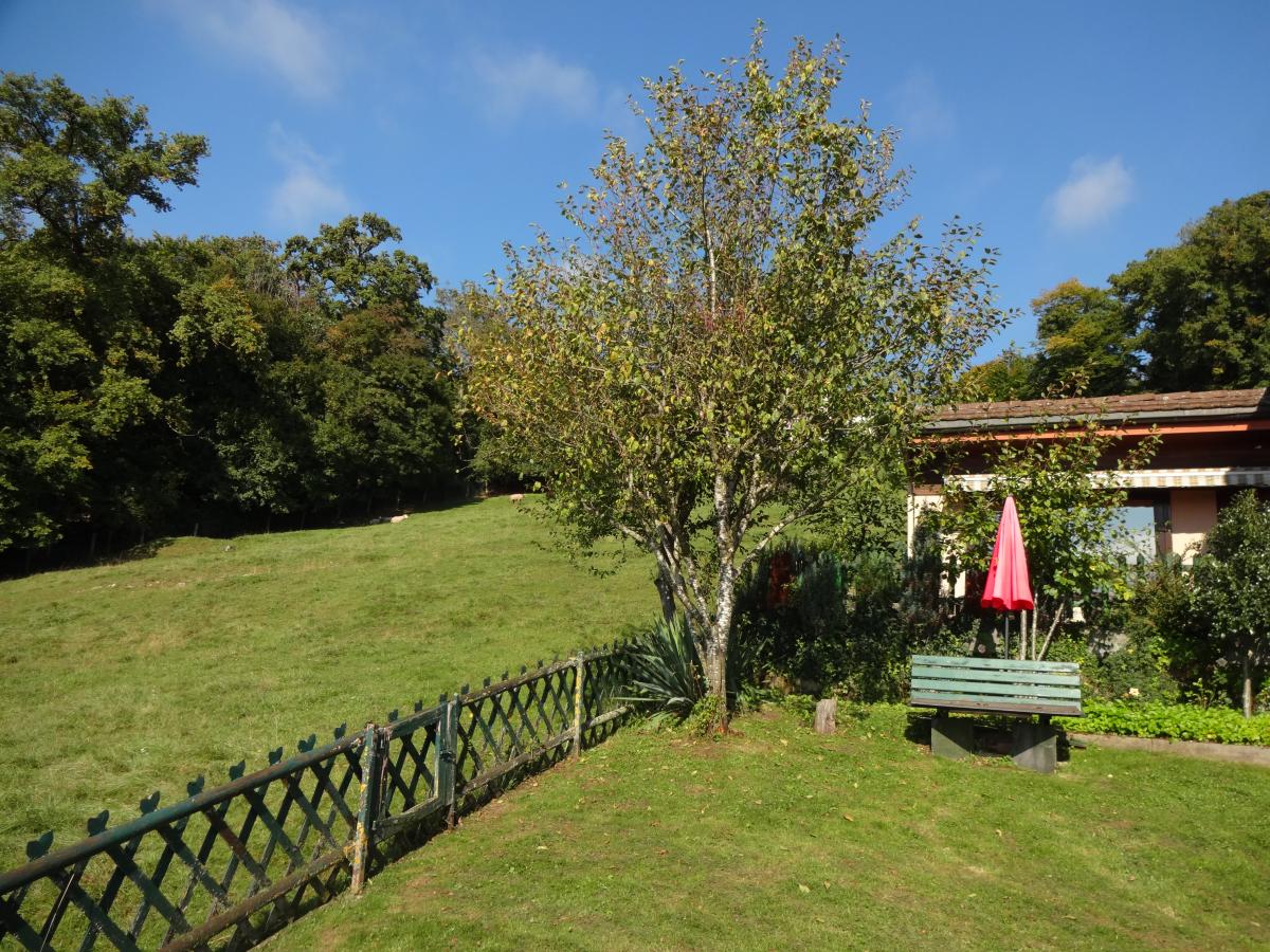 Charmantes Einfamilienhaus an guter, sonniger Lage mit Garten und traumhafter Weitsicht - Bild# 12