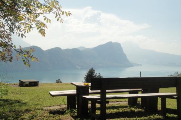 Einzigartiges Einfamilienhaus in Vitznau mit Sicht auf See & Berge - 6354 Vitznau - Bild# 7