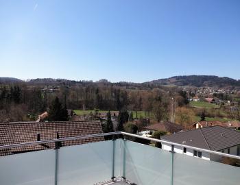 Hochwertige 3½-Zimmer-Attikawohnung (ERSTVERMIETUNG) Top-Lage - 5737 Menziken - Bild# 7