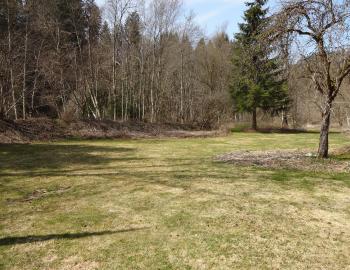 Einzigartiges und wunderschönes Haus mit riesiger Grundstückfläche - 3089 Hinterfultigen - Bild# 6